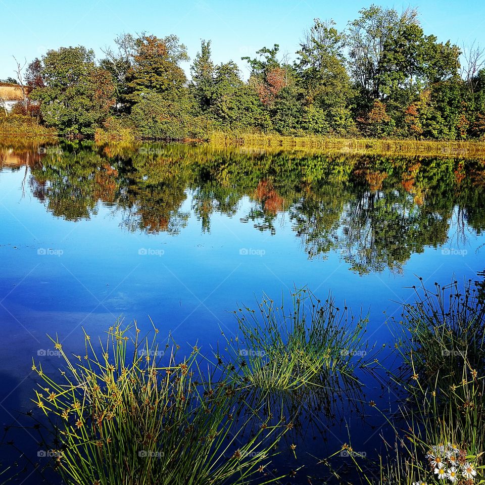 Autumn foliage reflecting in a pond.