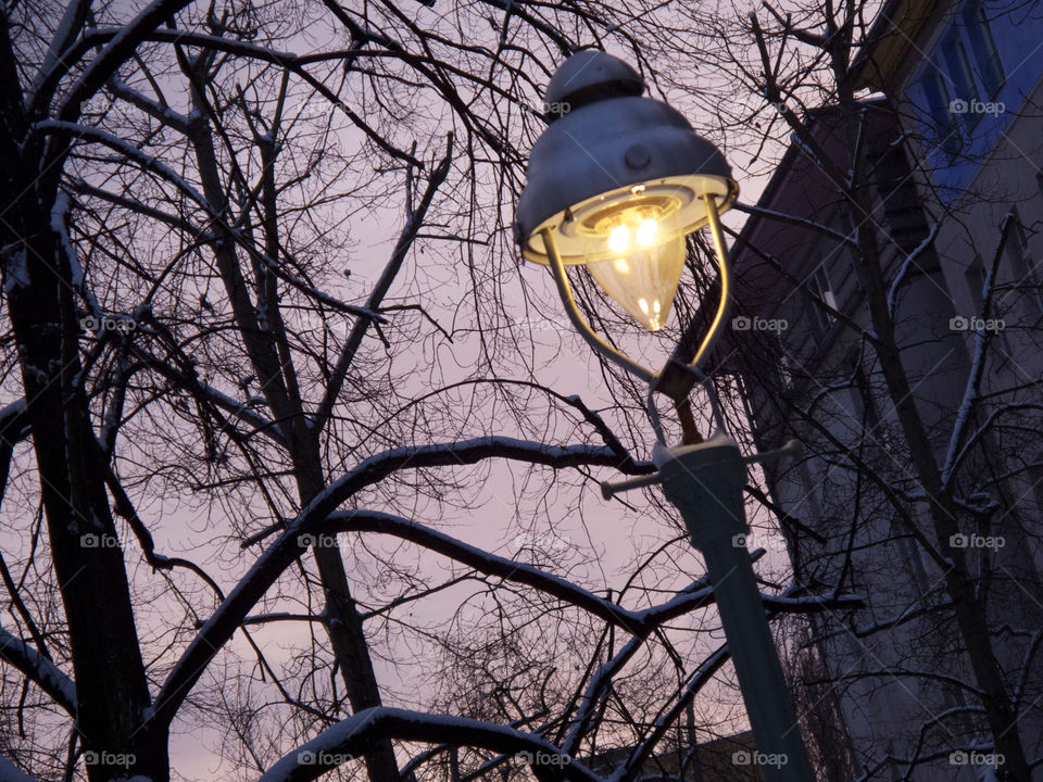 snow winter lamp evening by shotmaker