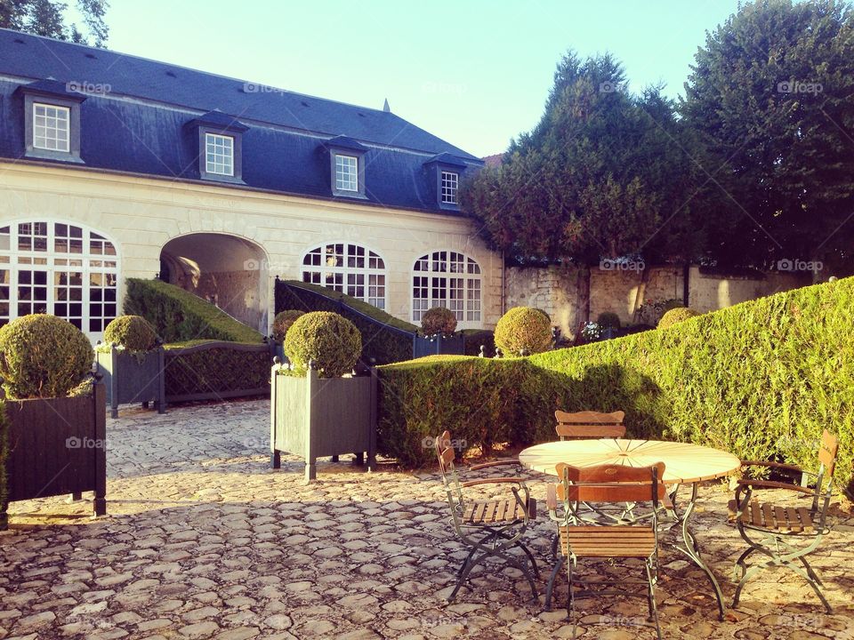 Morning in the Castle 