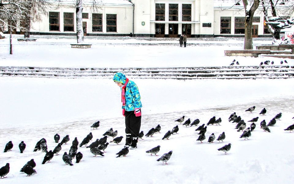 Christmas. girl feeds pigeons