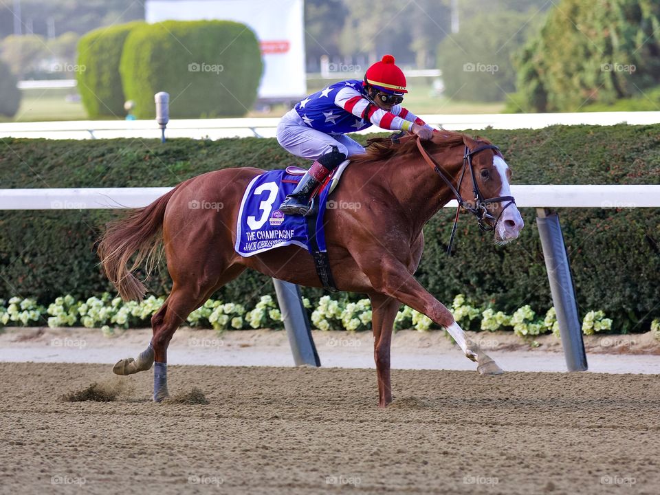 Jack Christopher winning the Champagne 🍾 Stakes