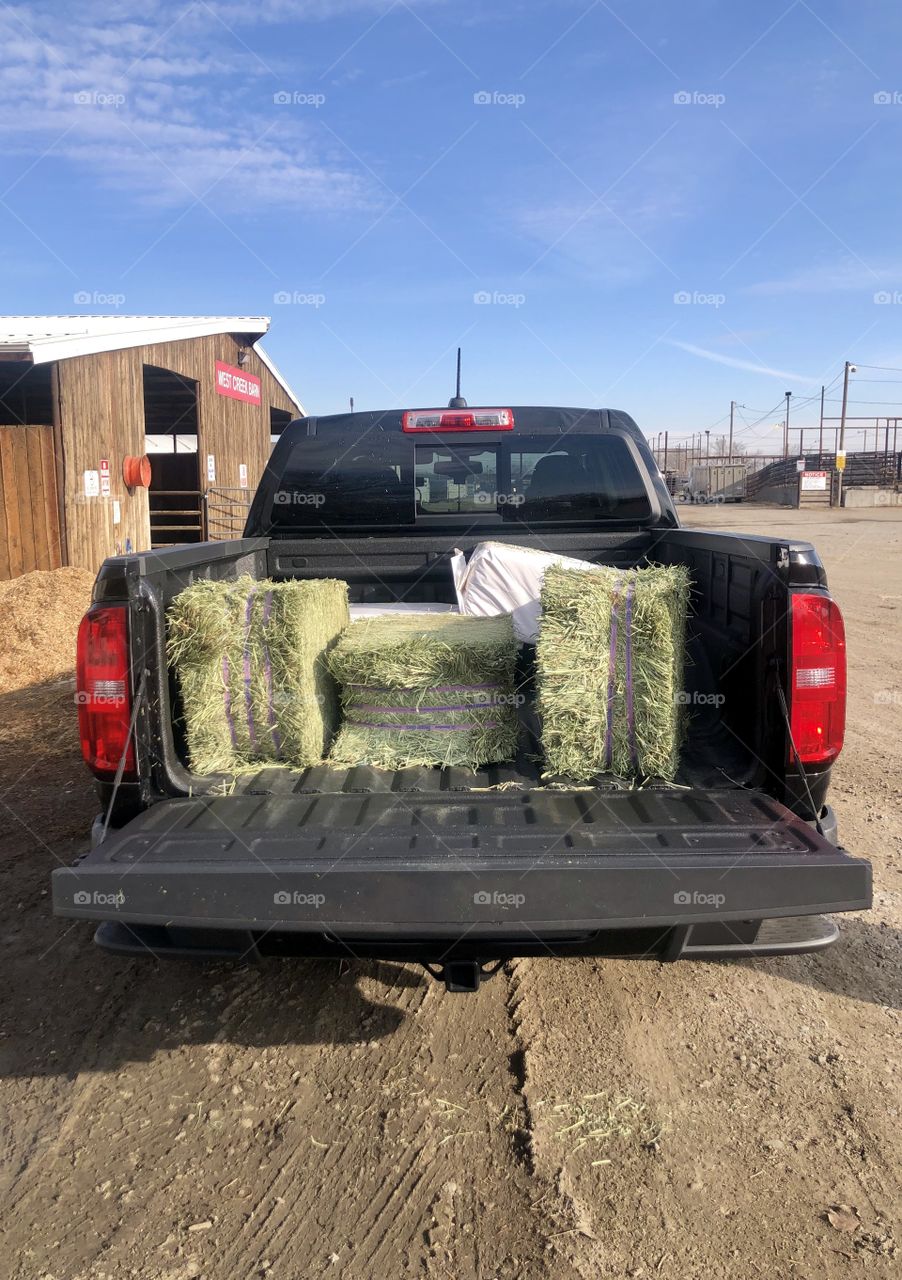 Truck bed full of hay on a blue sky day. 