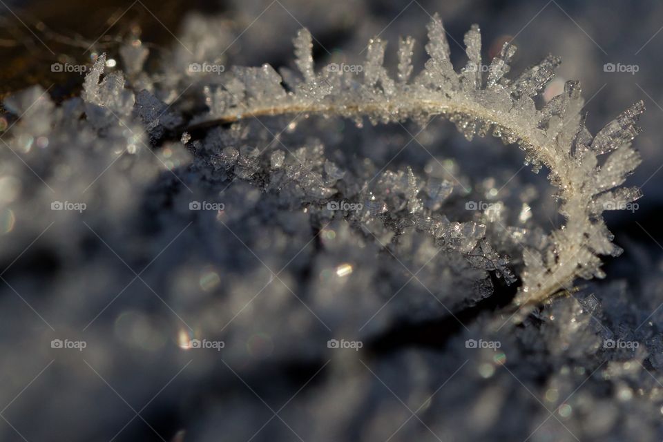 Frozen water crystals