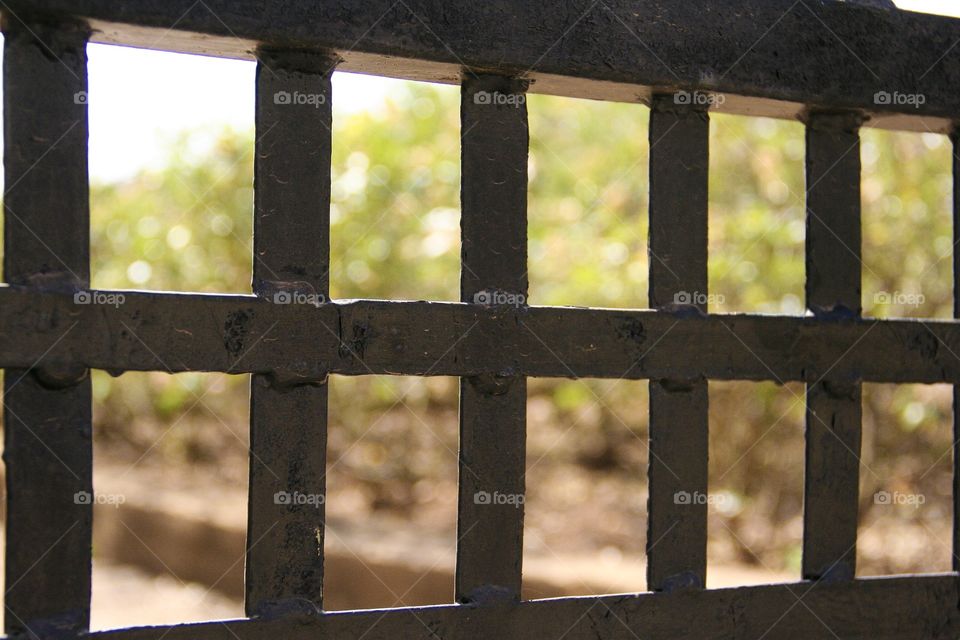 Rectangles are all around us, as seen in this security gate. Seen behind it is the rose garden