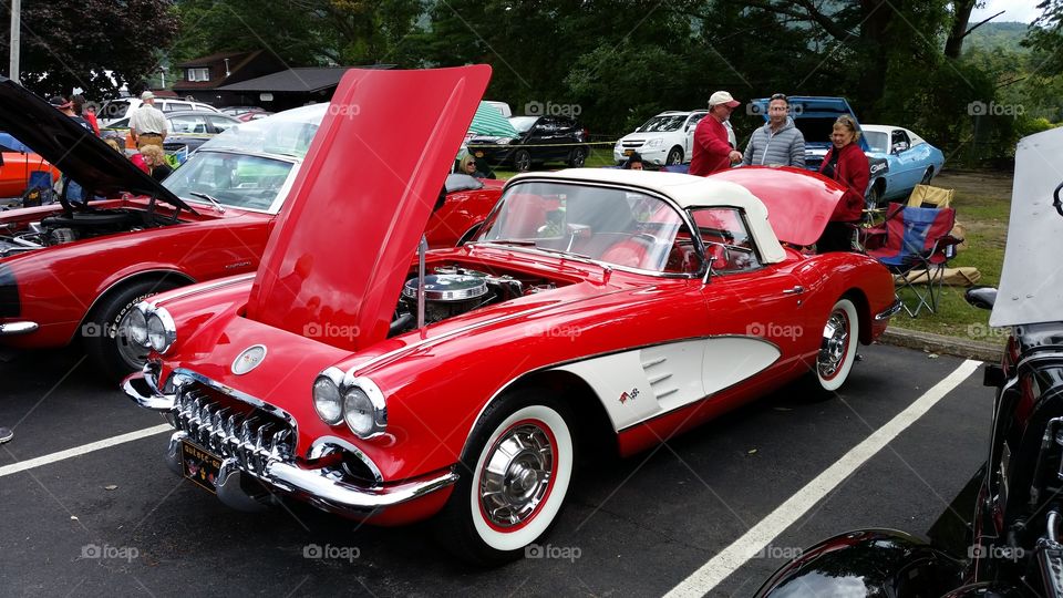 Vette