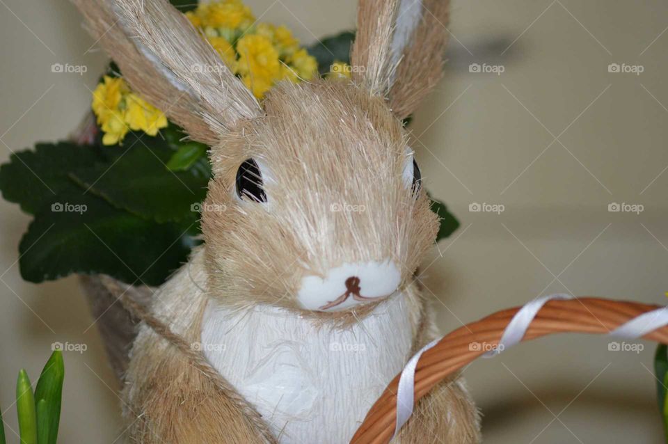 Easter bunny