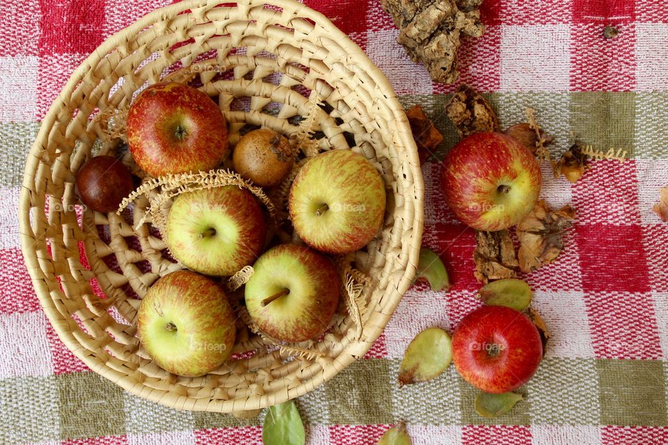 Apples in the basket 