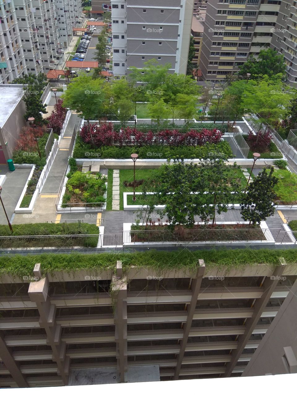 Roof Garden