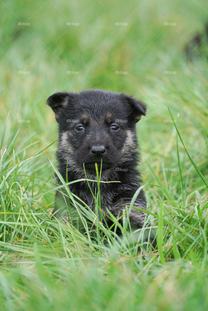 Exploring the world for the first time 
