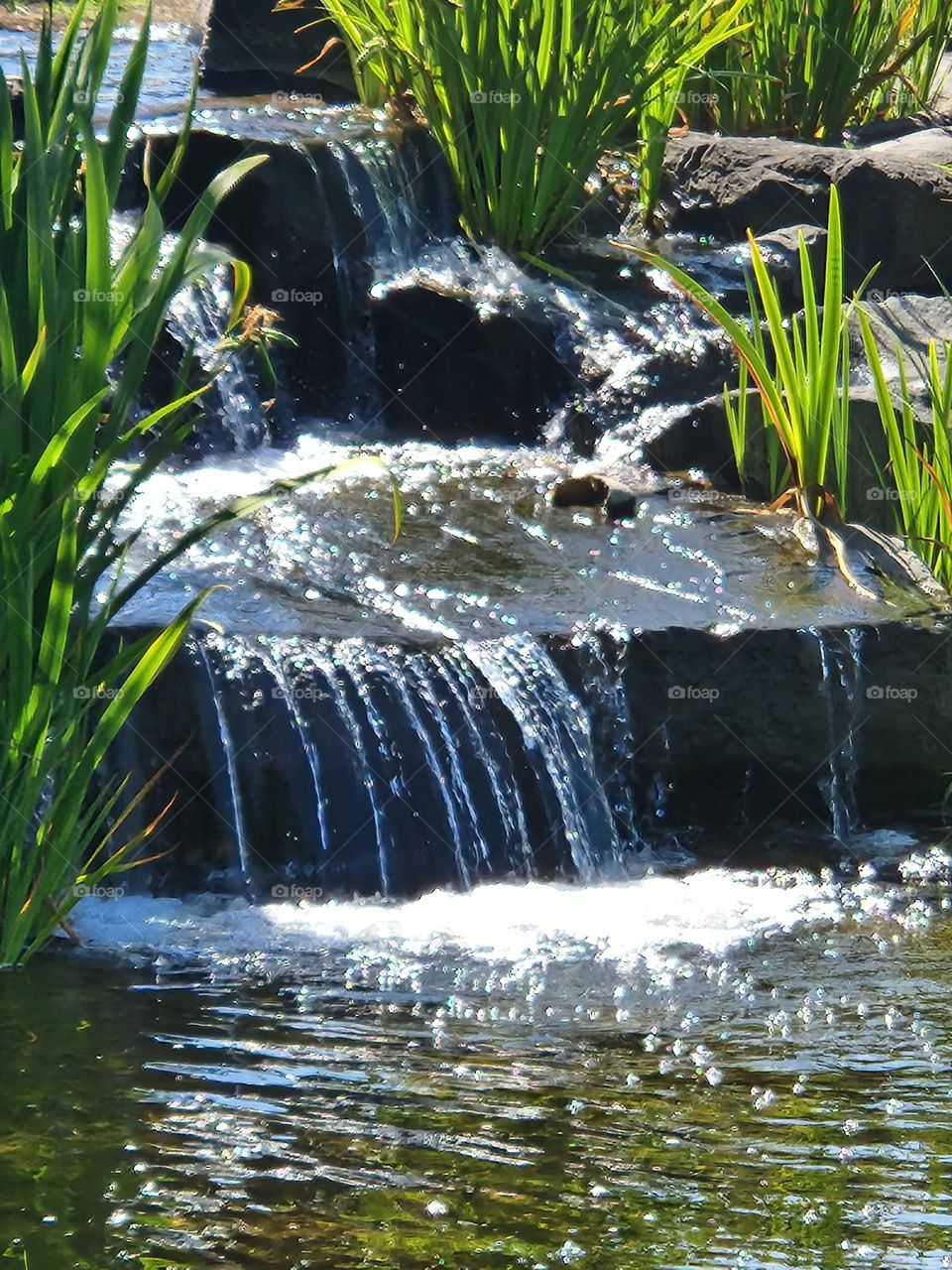 sunlight shining on small urban waterfall with green plant border