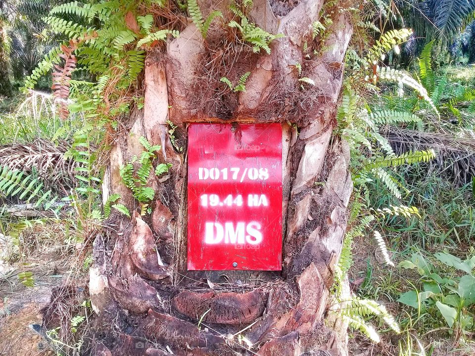 Numbering of block in oil palm plantations