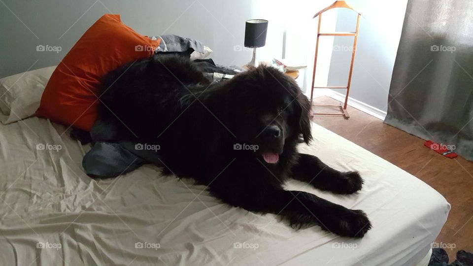 Newfs first time on the bed