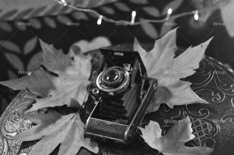 old German folding camera. manual mechanical technique for photographing.