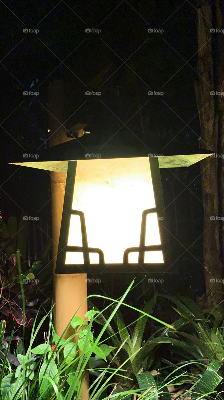 Light fixture from Animal Kingdom 