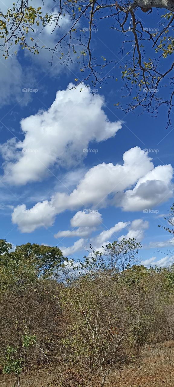 blue sky with clouds