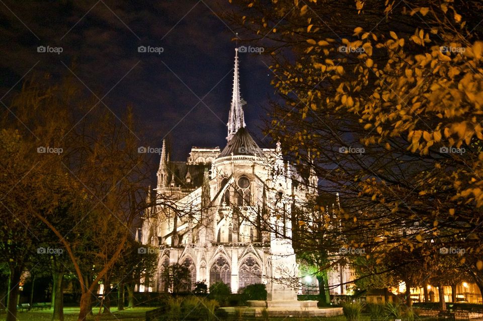 Backside of Notre Dame