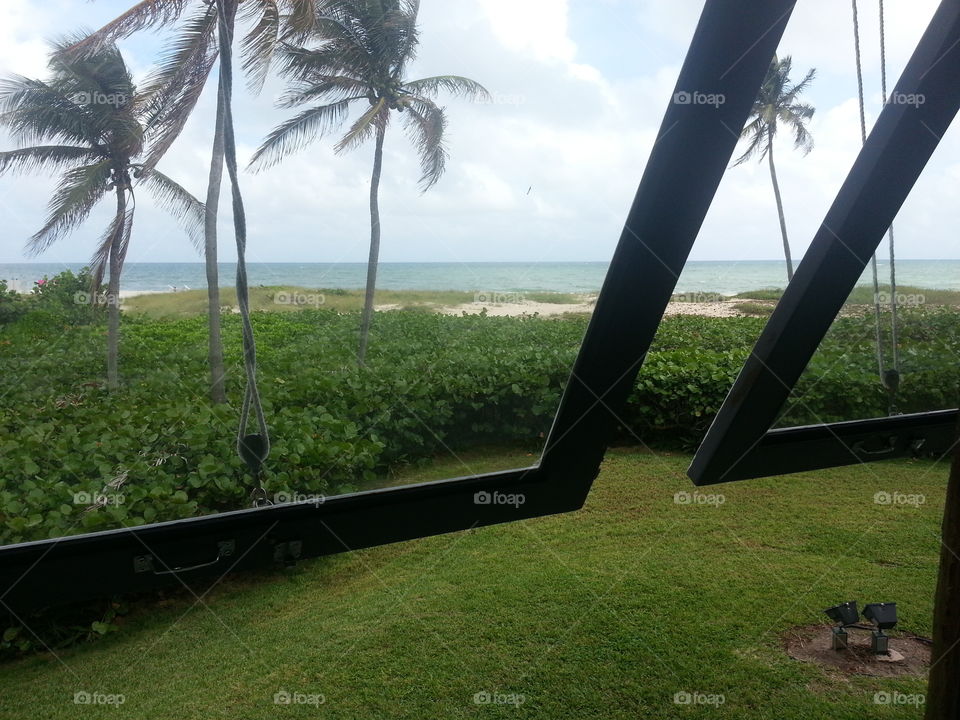 No Person, Tree, Recreation, Landscape, Grass