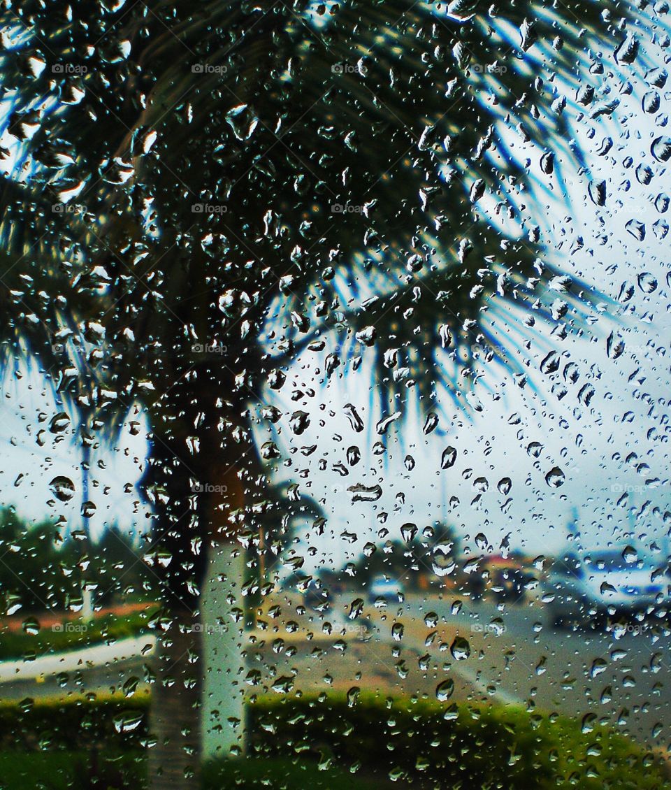 Raindrops. Região dos Lagos, Rio de Janeiro