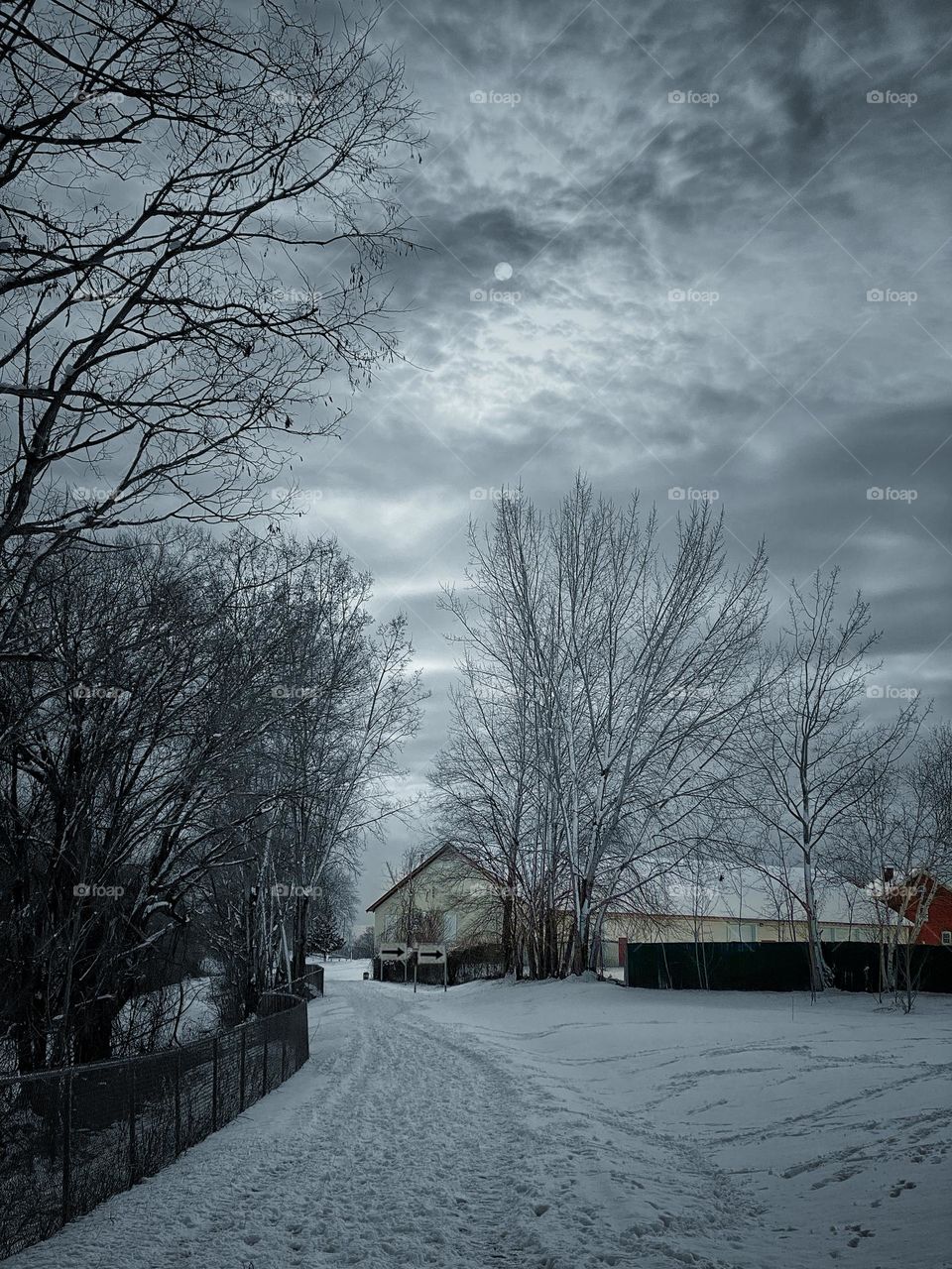 Footprint trails in the snow