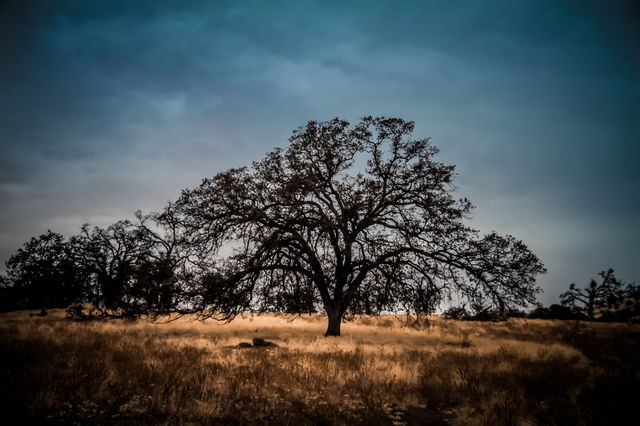 On the way to Yosemite