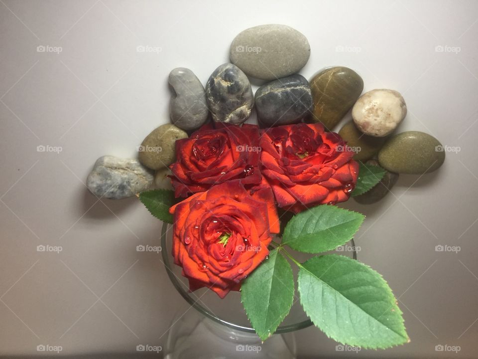 Reverse rose in vase