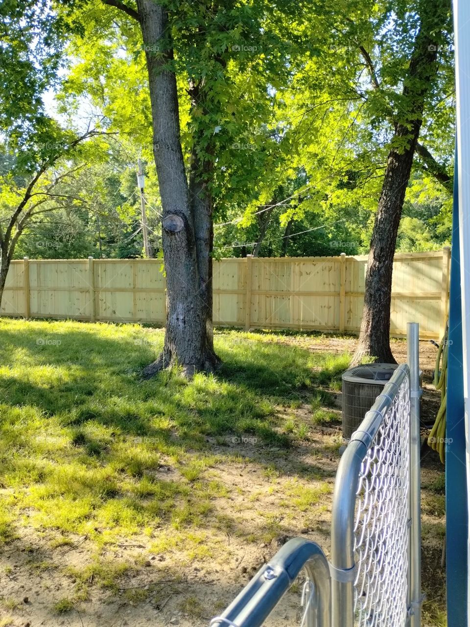 new fence
raw fence
pressure treated fence
backyard fence
gate