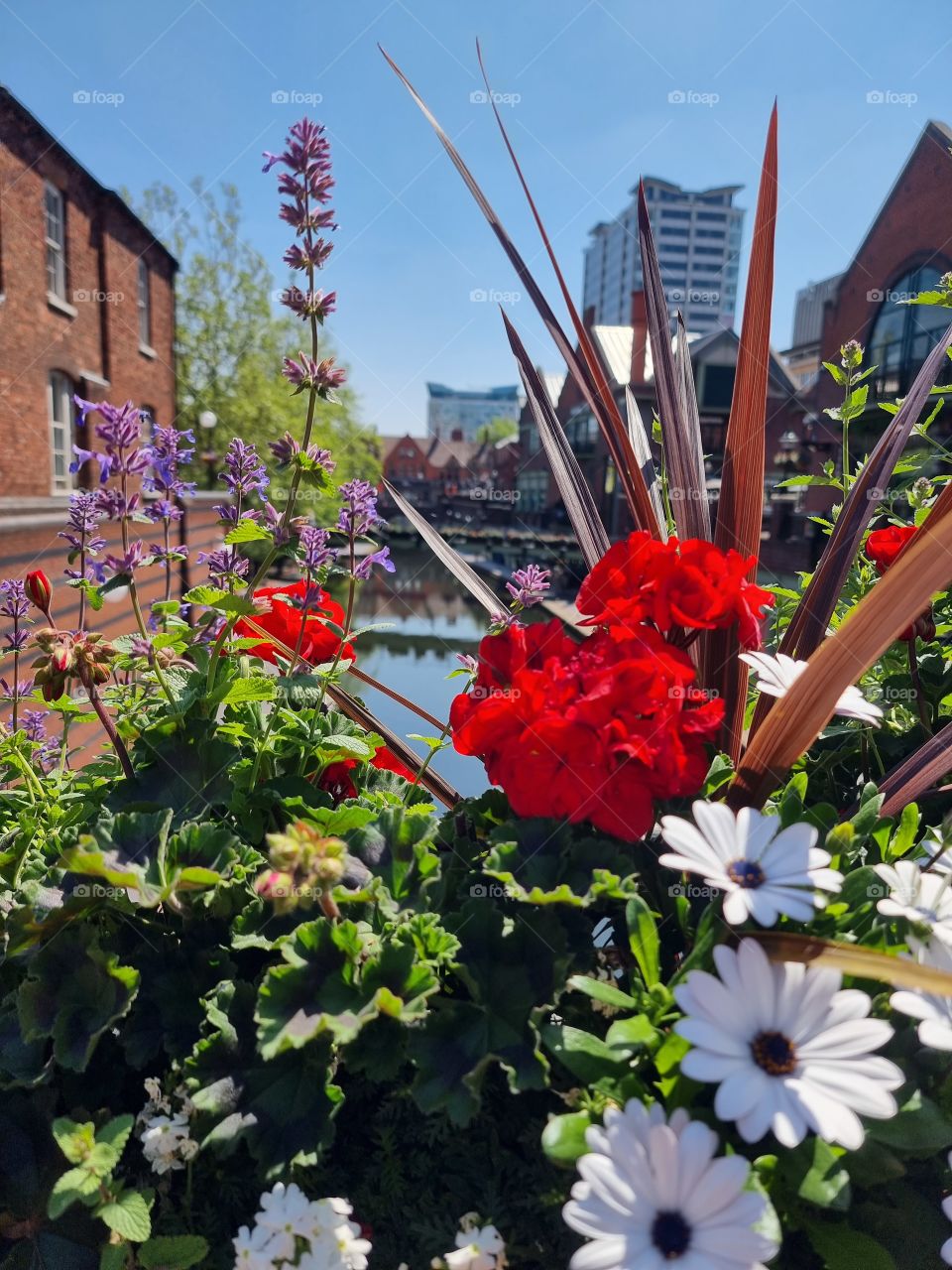 amazing place with flowers