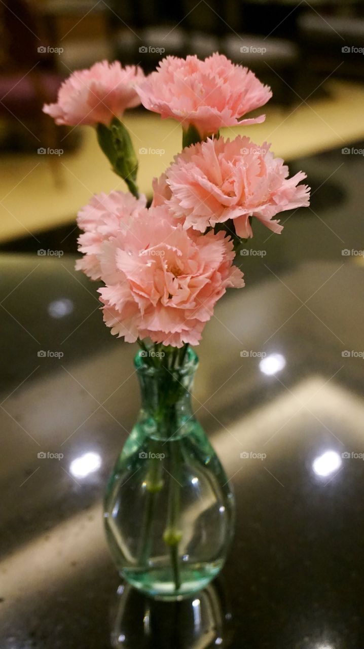 Pink carnations in small vase 