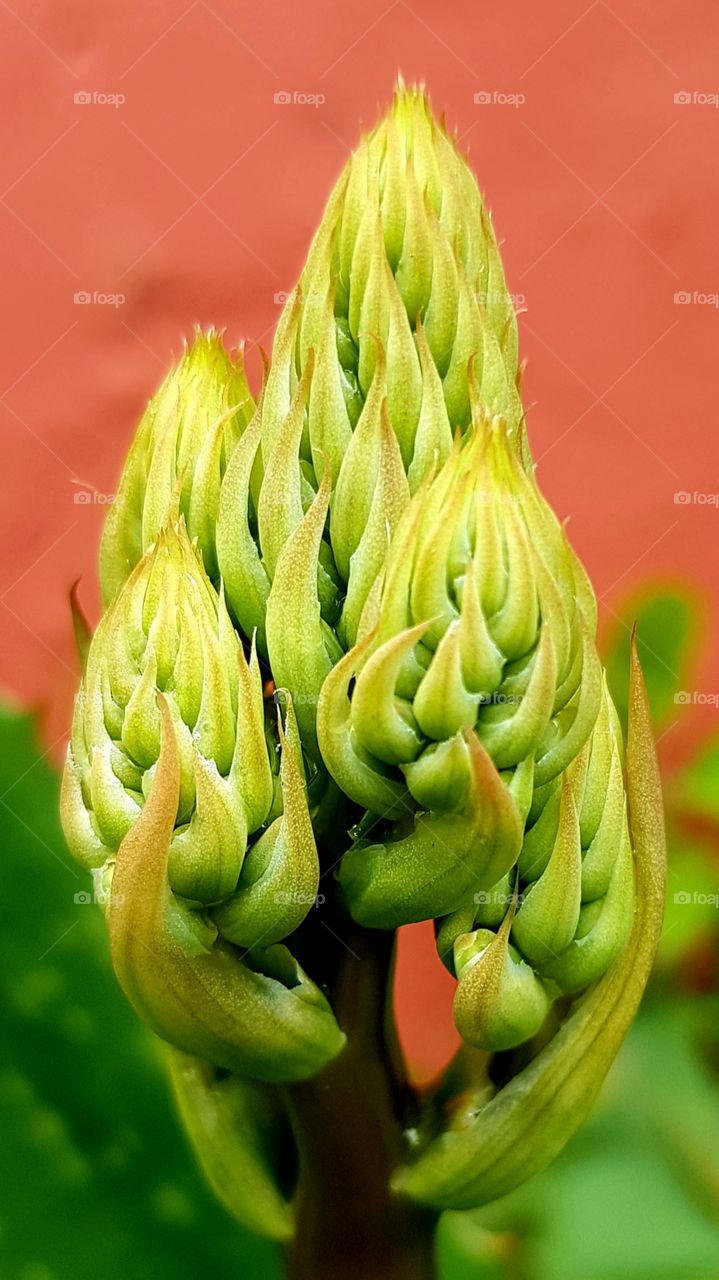 textures of the world