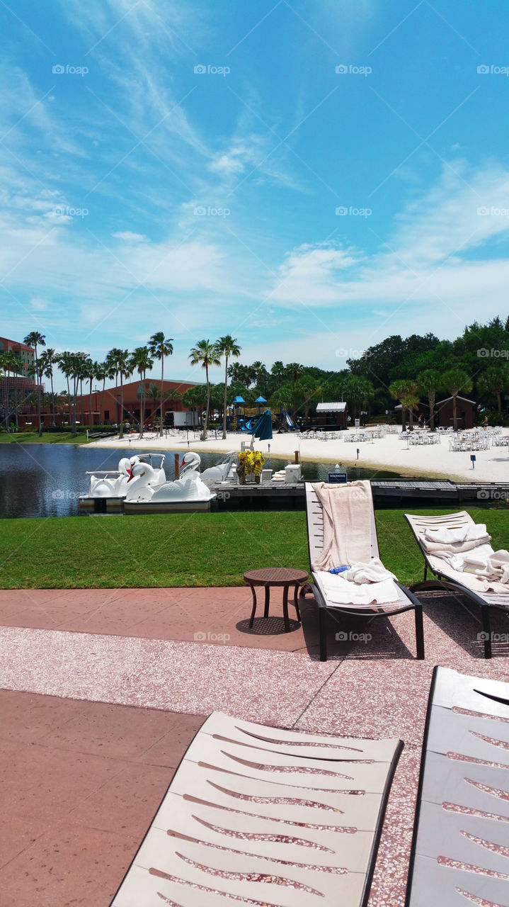 Poolside at Disney World's Dolphin Resort