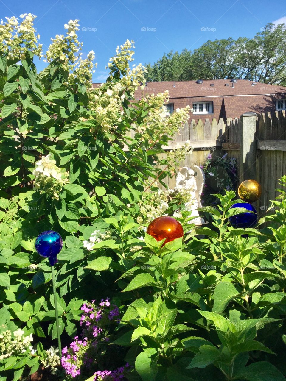 backyard garden in virginia 