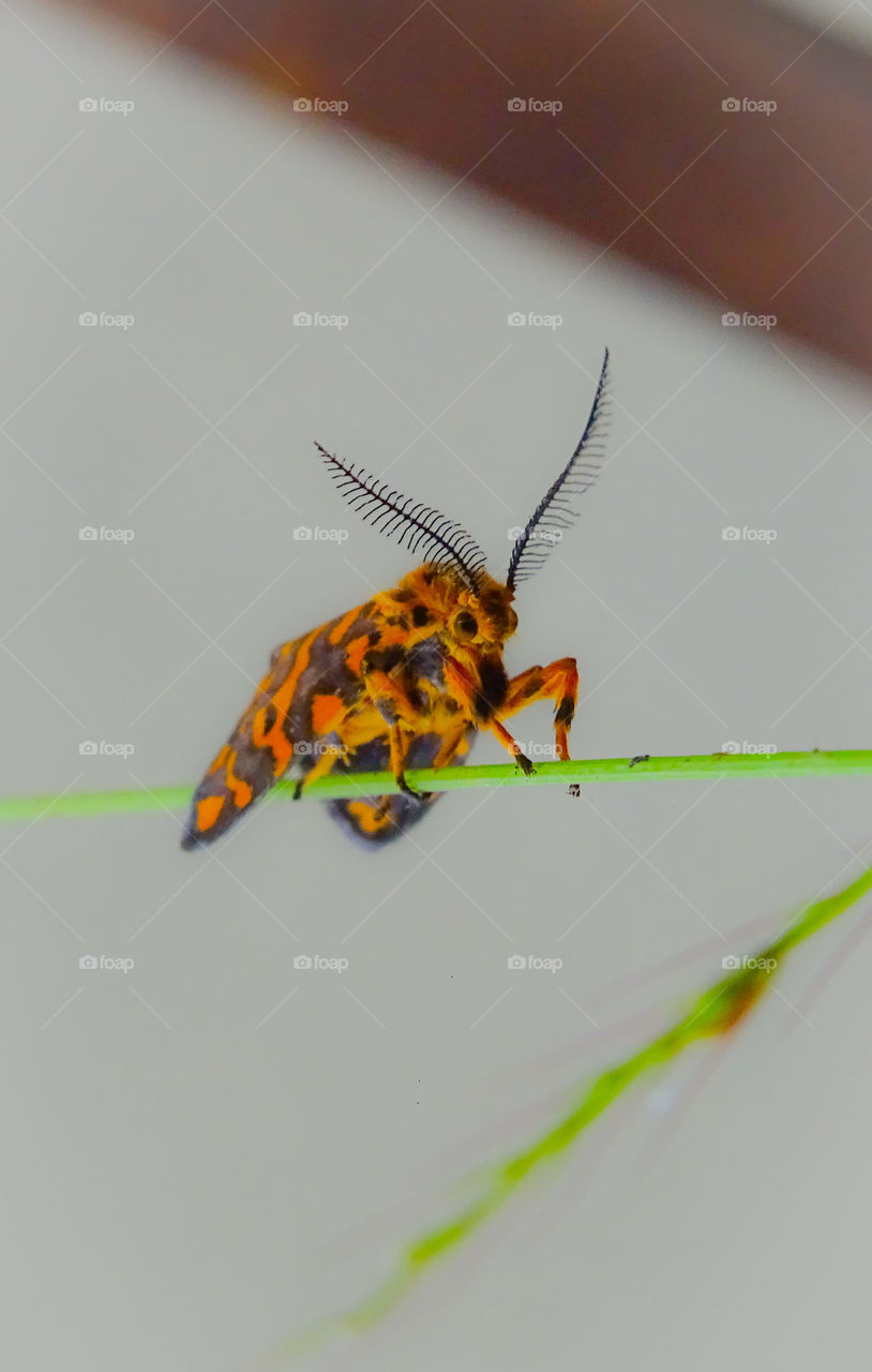 best photo like this