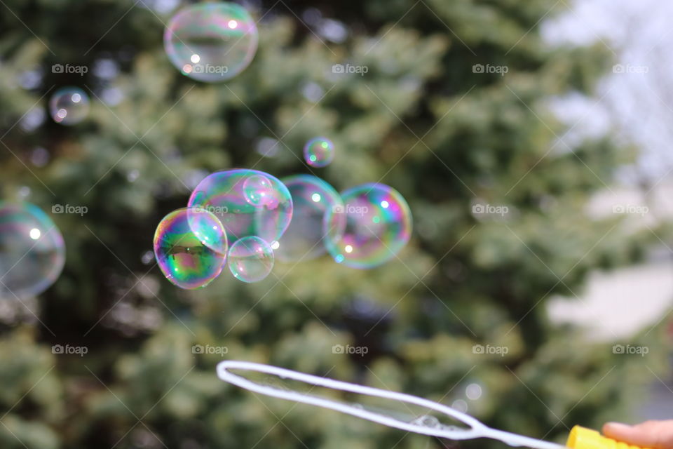 Bubbles