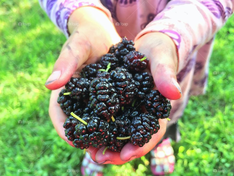 Handful of Berries