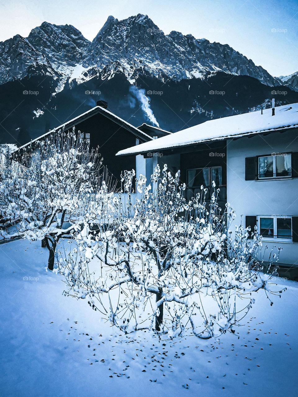 Winter vibes. Snow on trees with houses in the background, at the foot of a mountain.