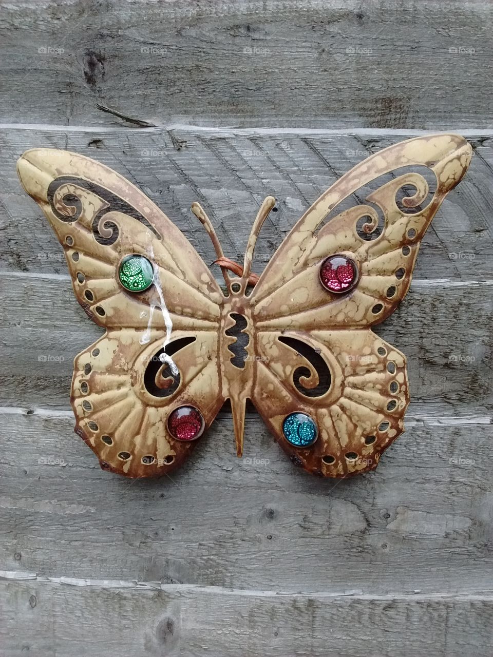 butterfly ornament