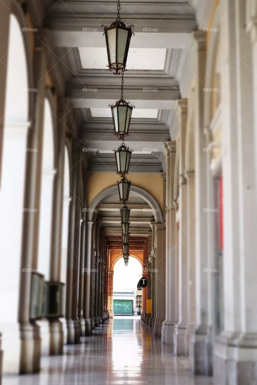 Тhe lamps path.