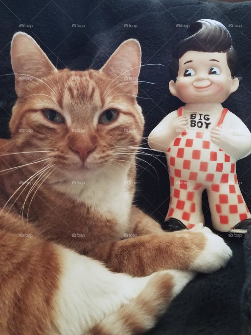 Orange Tabby Cat & a Photobombing Big Boy Plastic Toy