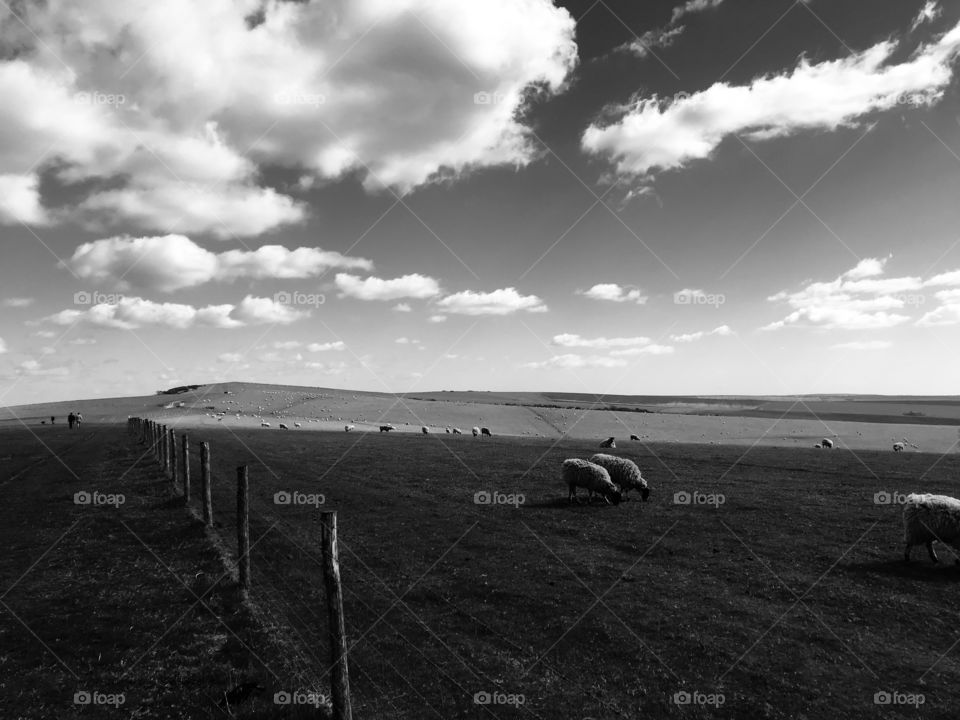 A bleak South Downs 