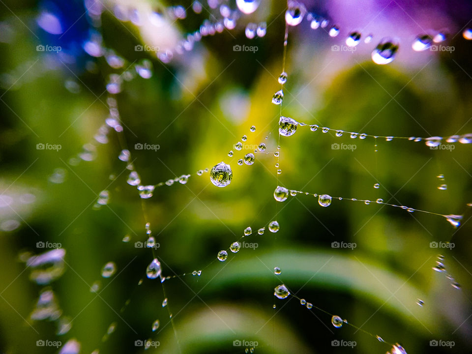 colorful droplets on spiderweb
