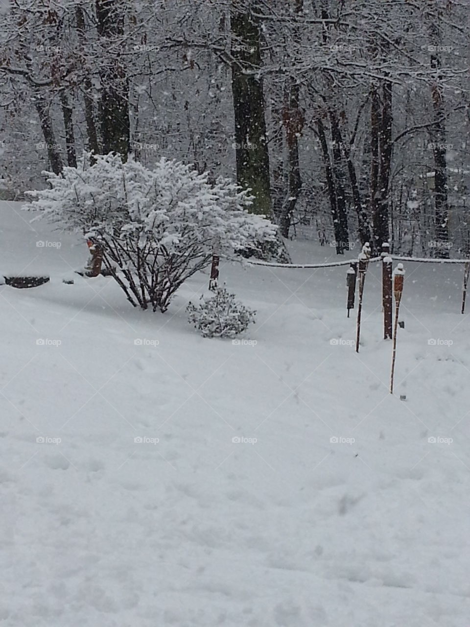 let it snow let it snow