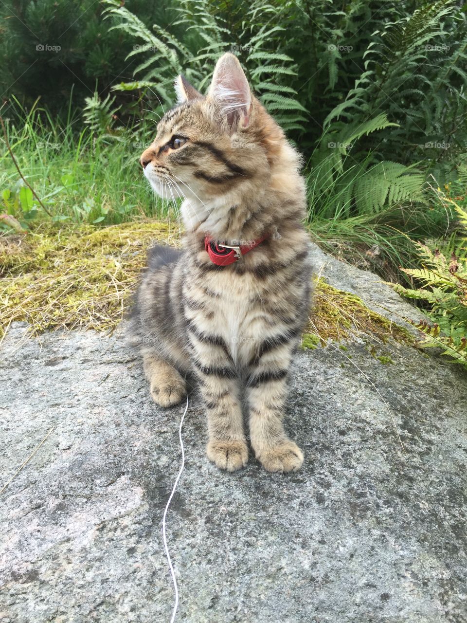 Outside for the first time