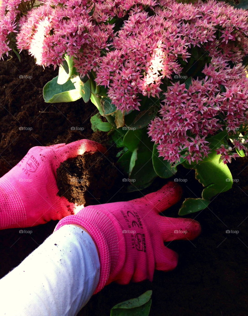 Gardening in pink.