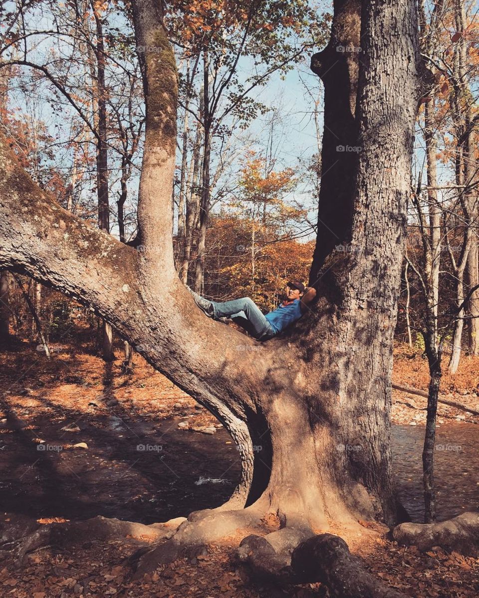 man relaxing in tree on vacation in the mountains @sellsaga