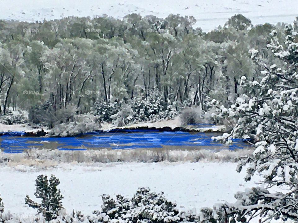 Spring is in the eye of the beholder 