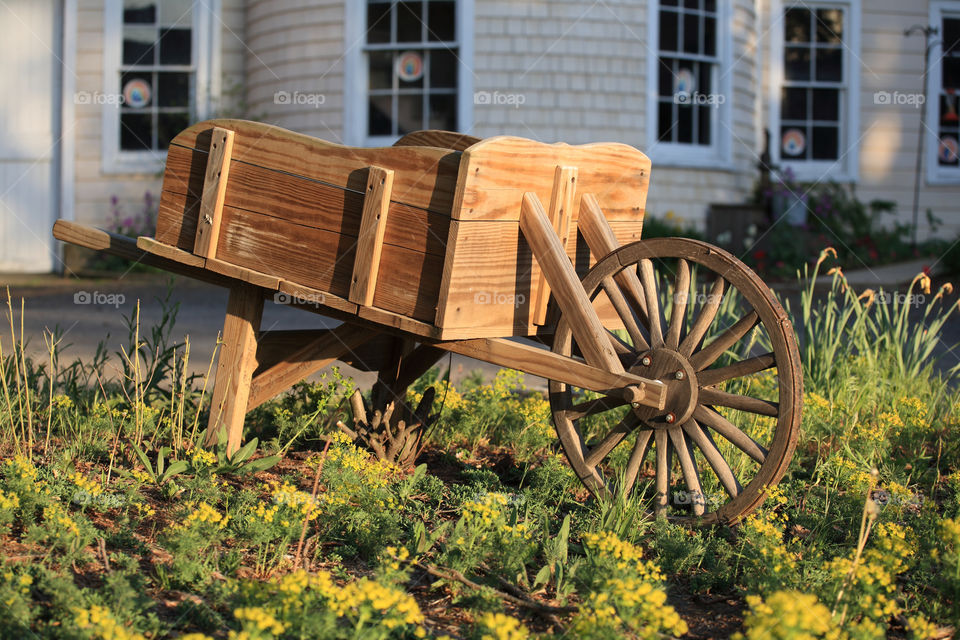 wheel wood house bushes by delvec