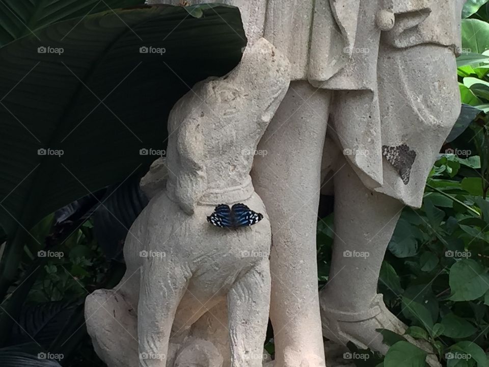 Minimalist images
Statue in butterfly Garden
Niagara Falls Canada 
The butterfly forms a bow tie for the dog