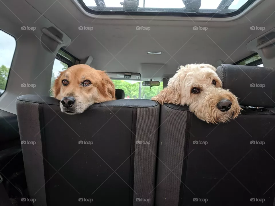 Brother and Sister Together Forever 