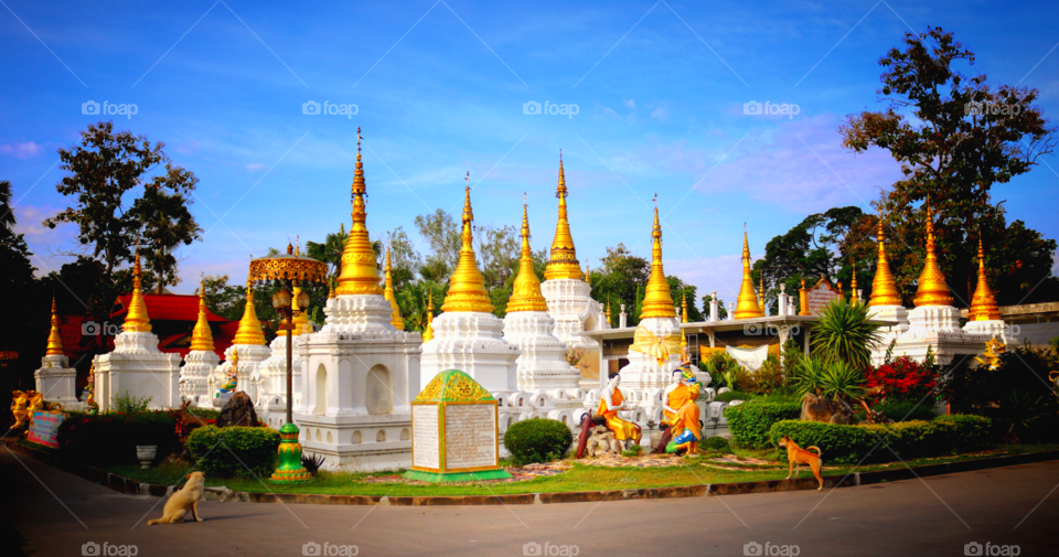 Beautiful Thai temple, Wat Je di Sao, Lampang, Thailand