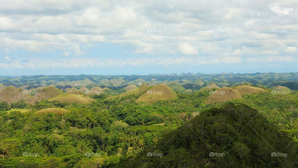 Chocolate hills